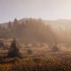 Beautiful Big Bear Views | Camp Bum