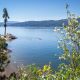 Camping Big Bear Lake | Camp Bum