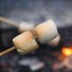 Campfires and Marshmallow Roasting | Camp Bum